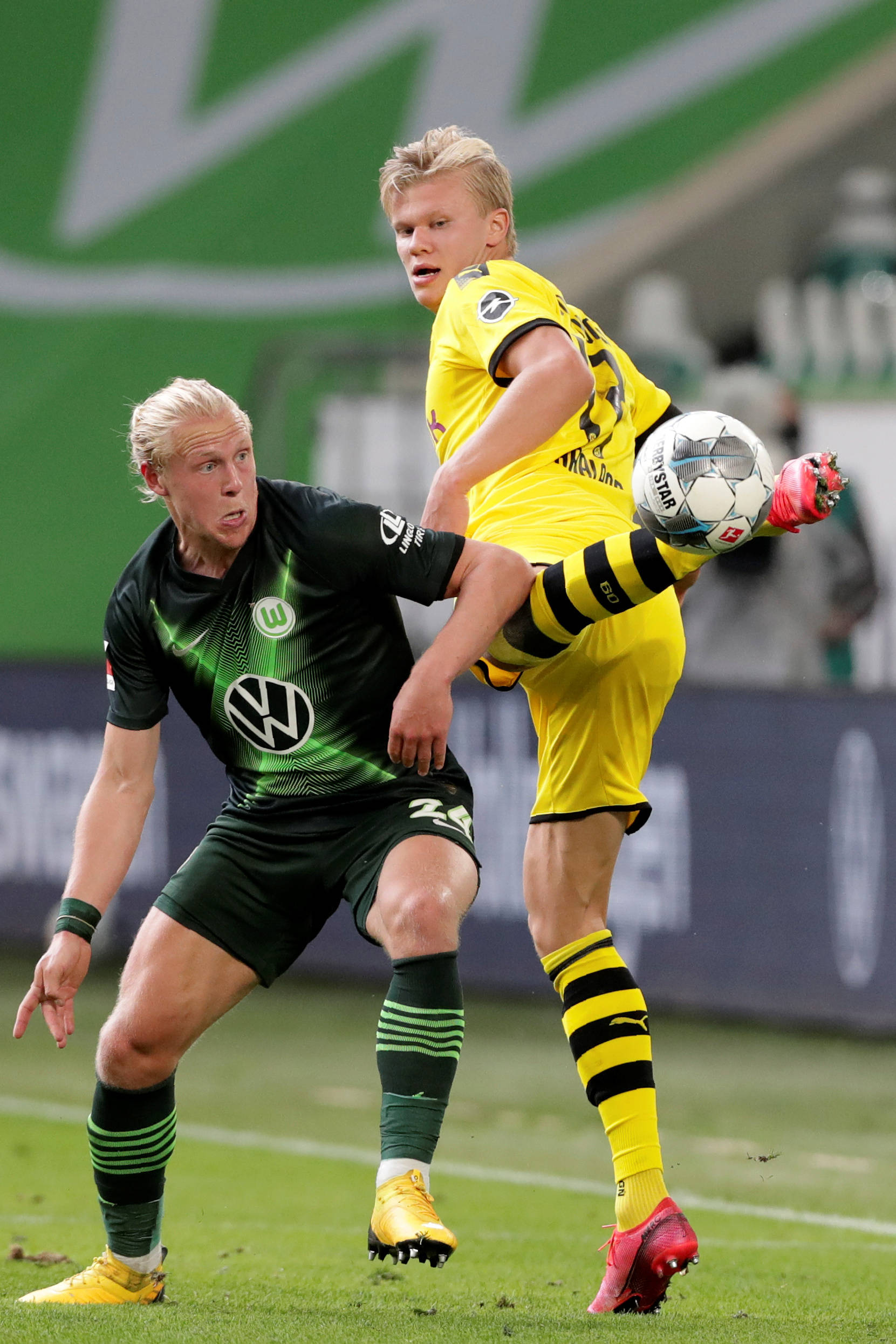 挥将波尔津 挥将波尔津