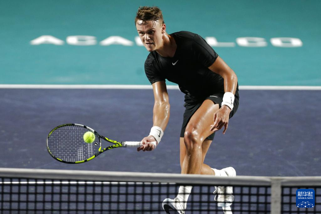 形式提供综 形式提供综